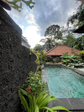 One Bedroom private pool and kitchen